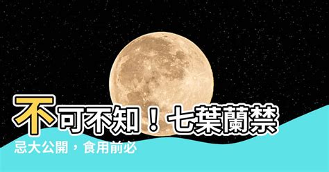 七葉蘭禁忌|【七葉蘭禁忌】不可不知！七葉蘭禁忌大公開，食用前。